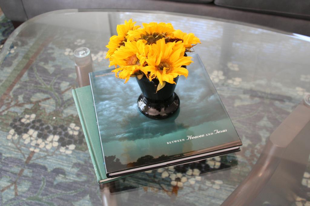 Bear Creek Cottage Manchaca Εξωτερικό φωτογραφία